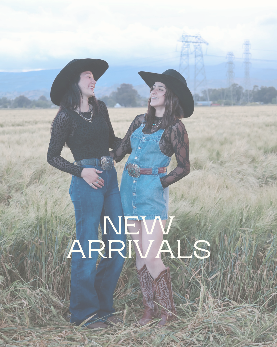 New Arrivals